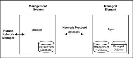 Manager-Agent Relationship
