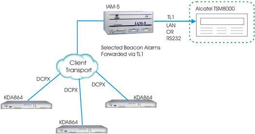 Report to Your Alcatel TSM-8000 with T/Mon